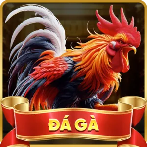 Sảnh casino trực tiếp với người chia bài thật