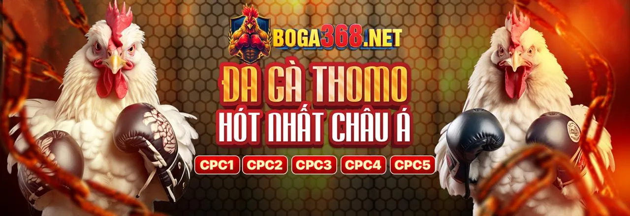 Hình ảnh tổng quan về dagac3 chính thức, thể hiện sự chuyên nghiệp và uy tín